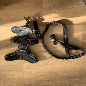 Rabbitgoo Dog Harness & Leash Medium